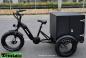 Preview: Elektro Dreirad Zemto-Revom Trike mit Koffer, Mittelmotor , dicke Reifen Vorbestellbar